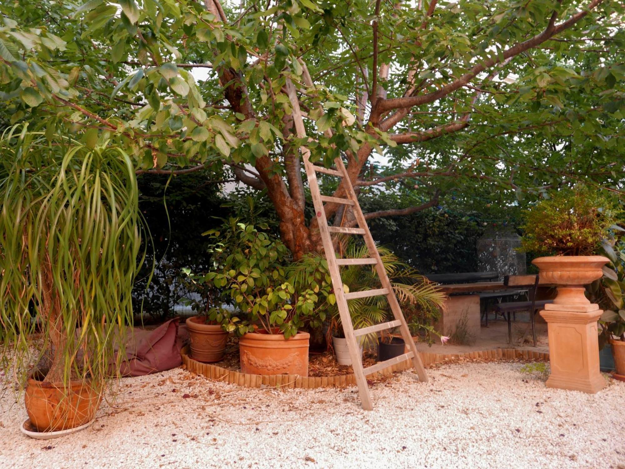 Jardin Vieux Port Panier Hotel Marsilia Exterior foto
